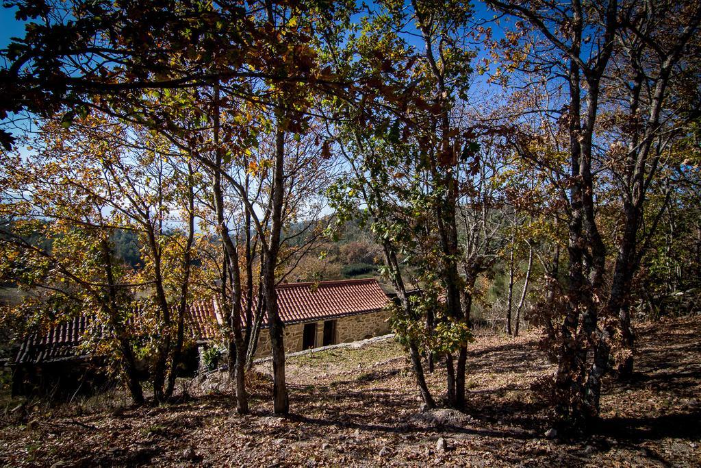 Casas Dos Avos Guest House Vale de Cambra Rom bilde