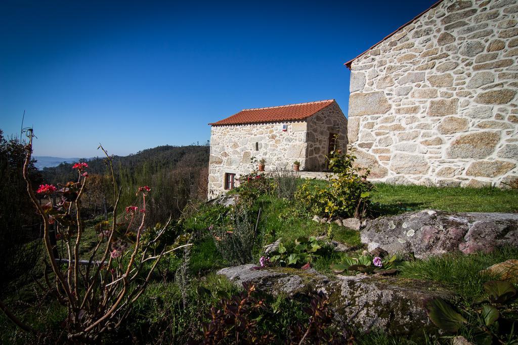 Casas Dos Avos Guest House Vale de Cambra Rom bilde
