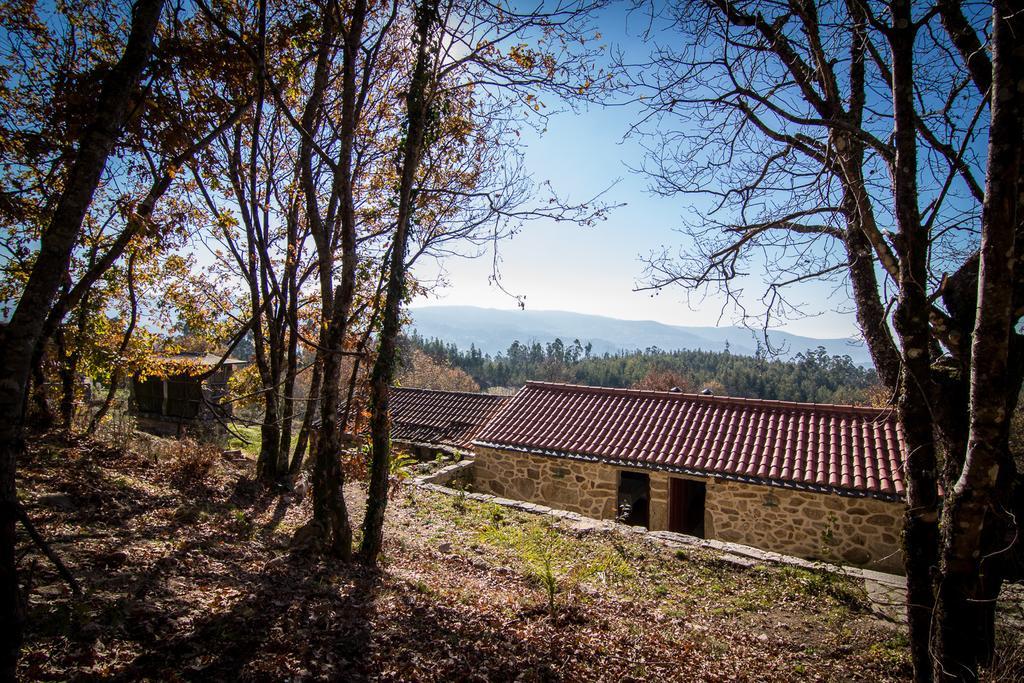 Casas Dos Avos Guest House Vale de Cambra Rom bilde