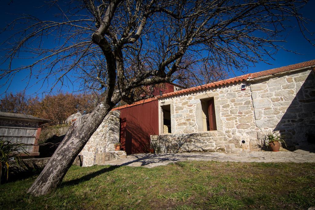 Casas Dos Avos Guest House Vale de Cambra Rom bilde